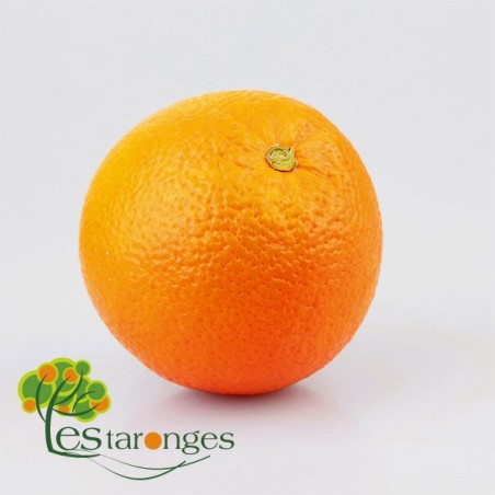 15Kg Naranjas Variedades Navel (SIN MALLA) Pro