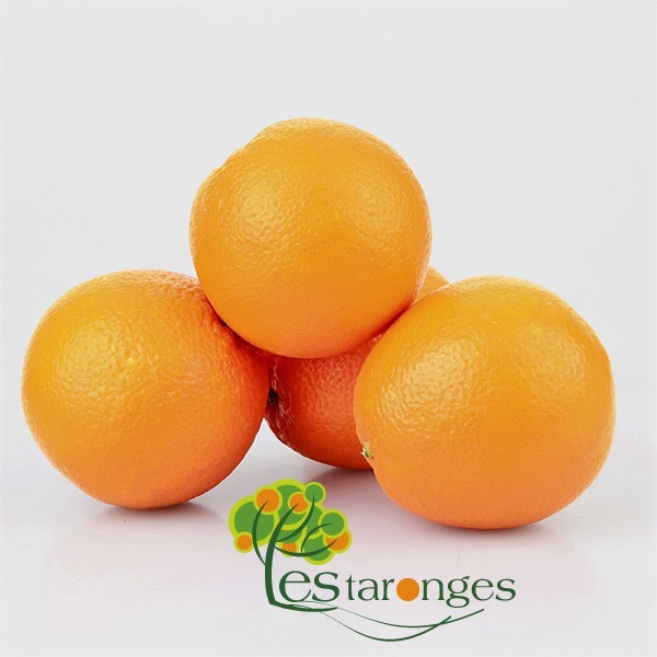 15Kg Naranjas Variedades Navel (SIN MALLA) Pro