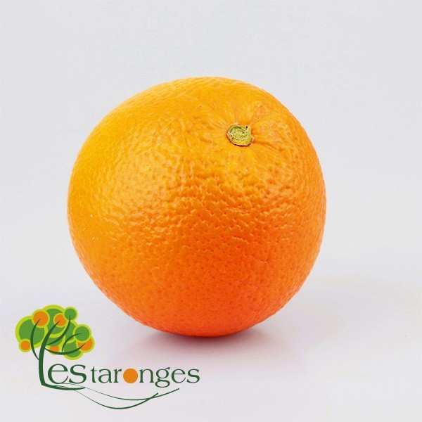 10 Kg Navelinas Oranges (without mesh, unbagged)