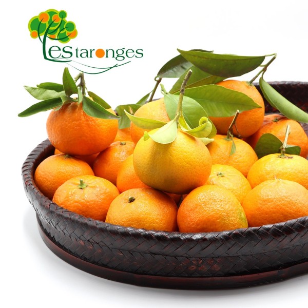 Mandarinas Hernandinas 10kg