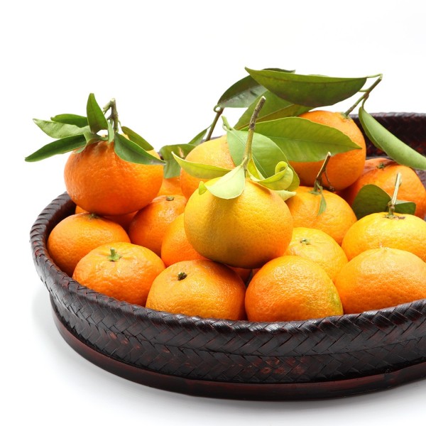 Mandarin Hernandina 15Kg