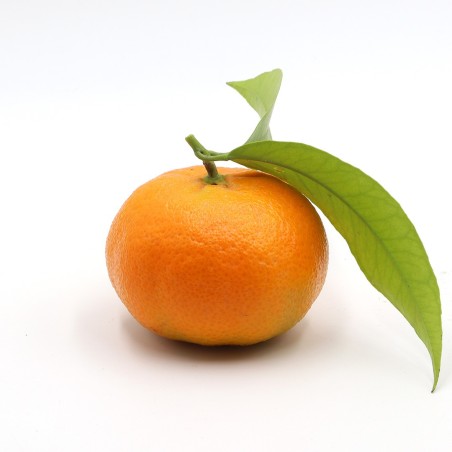 Mandarin Hernandina 15Kg