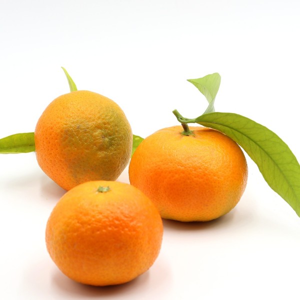 Mandarinas Hernandina en mallas