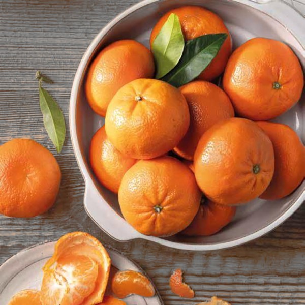 copy of 15Kg Tangerines Clementines (No mesh)