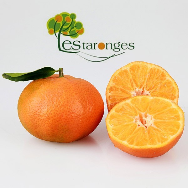 15 Kg Mandarines Clementines Varies en 6 malles