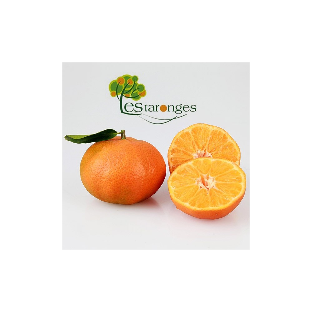 Sorten Mandarinen Clementinen Kg 15 Verschiedene