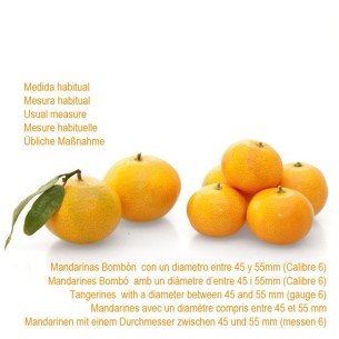 15 Kg. Mandarinas Bombón