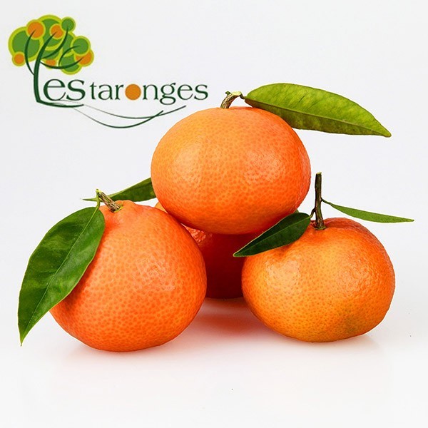15 Kg Mandarines Clementines NULETA en 6 malles