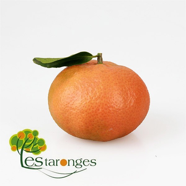 15Kg Tangerines Clementines NULETA...