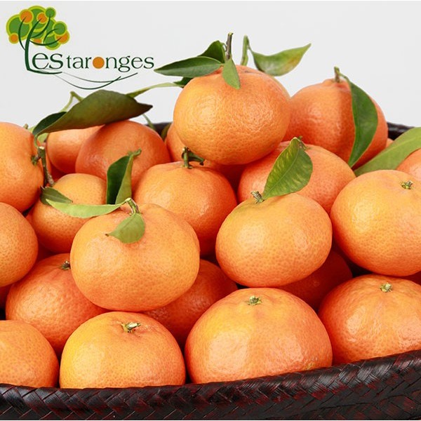 15Kg Mandarinas Clementinas NULETA (SIN MALLA)