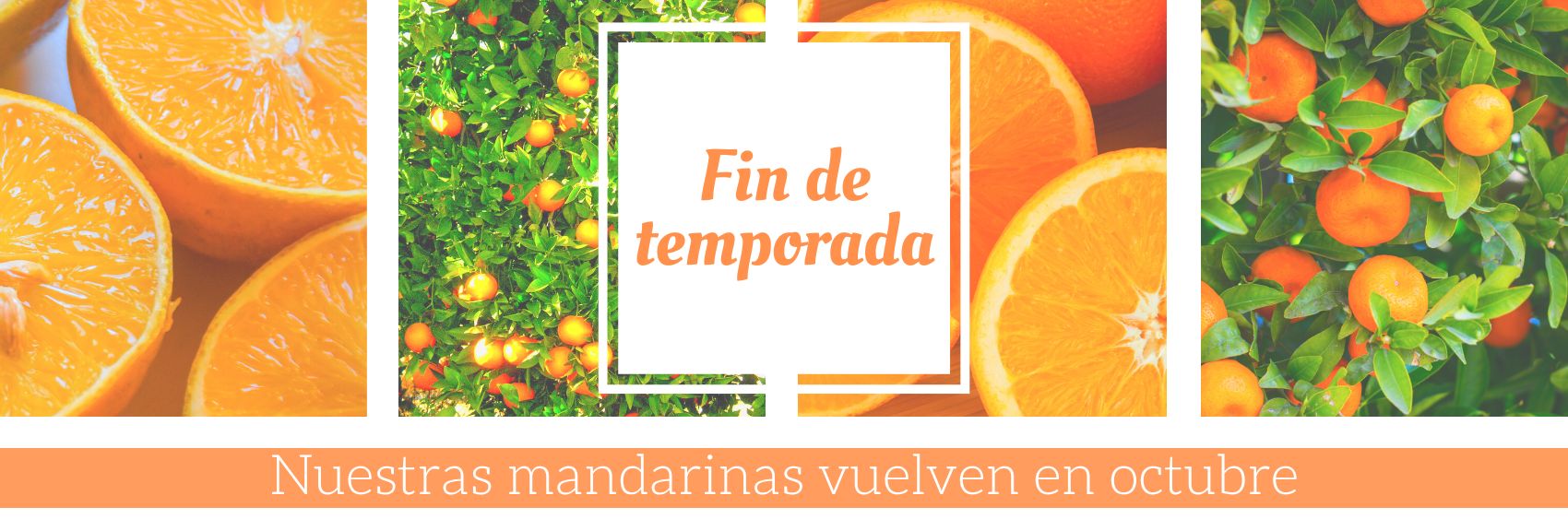 fin-temporada-castellano-mandarinas.jpg