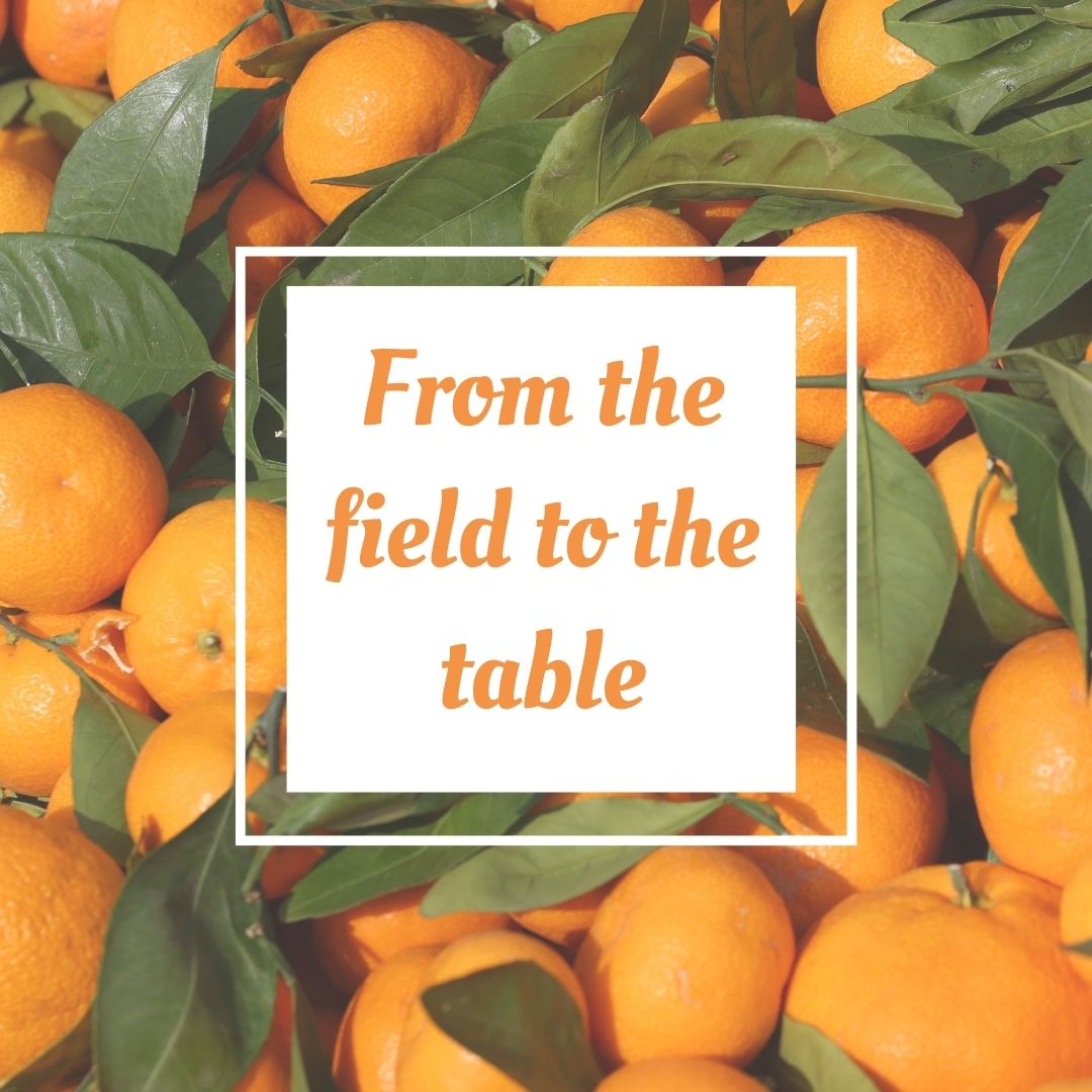 Del campo a tu mesa narnajasr