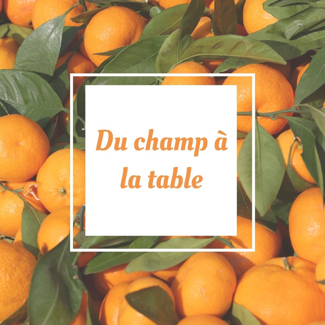 Del campo a tu mesa narnajasr