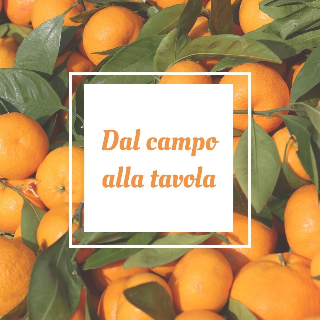 Del campo a tu mesa narnajasr